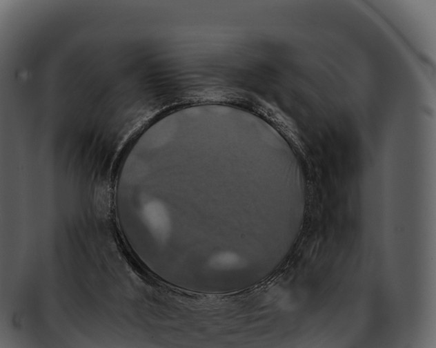 X0000092320012200710051305