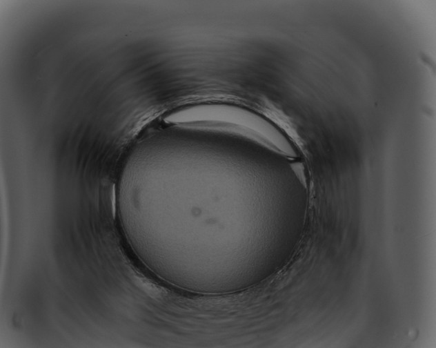 X0000092320013200710051305