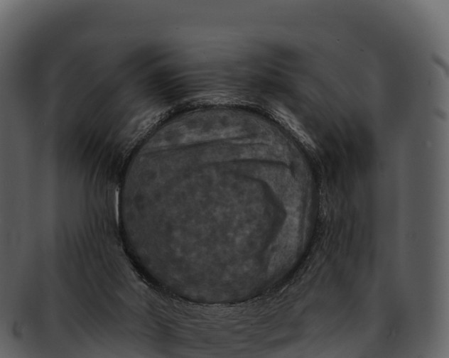X0000092320014200710051305
