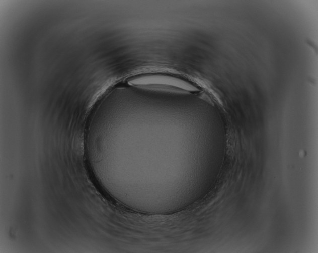 X0000092320015200710051305