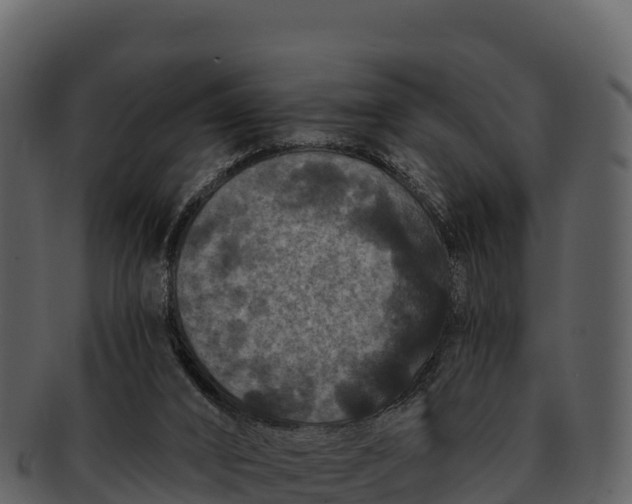 X0000092320016200710051305