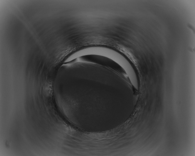 X0000092320017200710051305