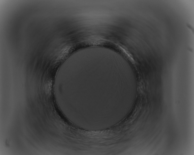 X0000092320018200710051305