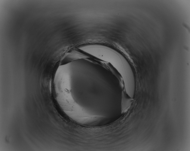 X0000092320019200710051305