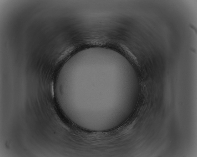 X0000092320020200710051305