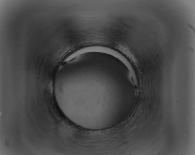 X0000092320021200710051305