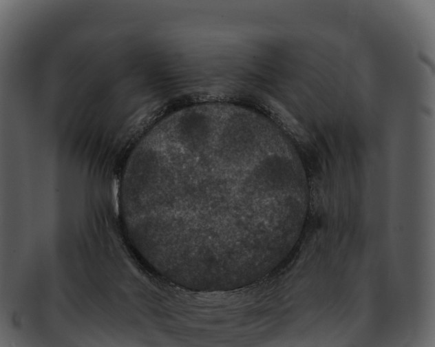 X0000092320022200710051305