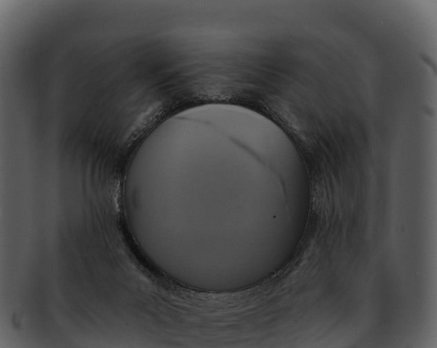 X0000092320023200710051305
