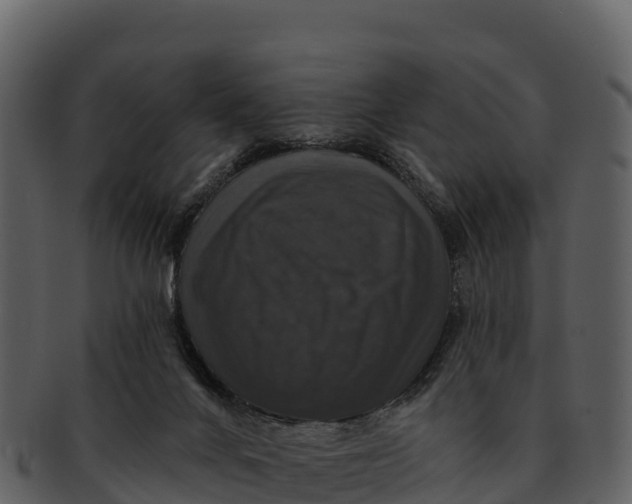 X0000092320024200710051305