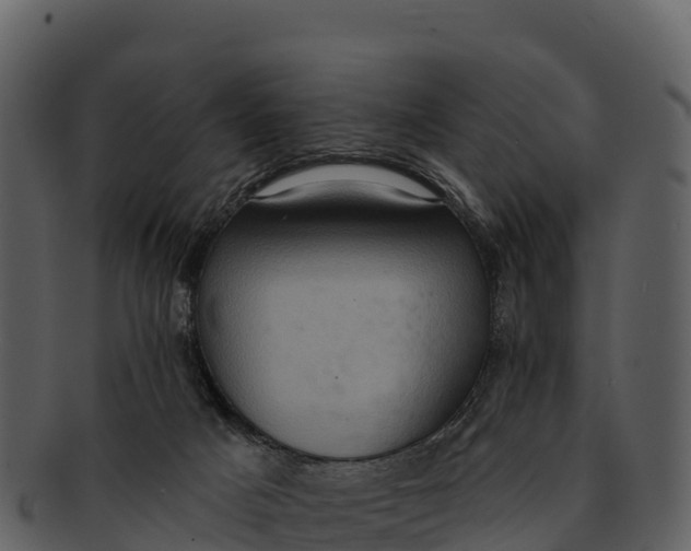 X0000092320025200710051305