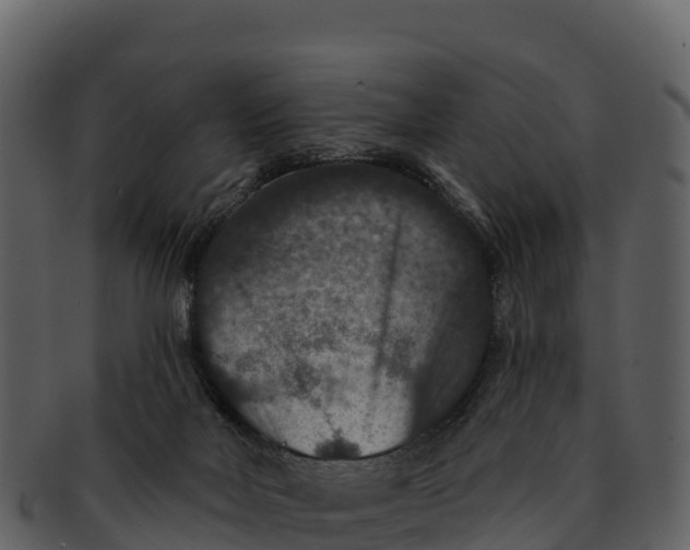 X0000092320026200710051305