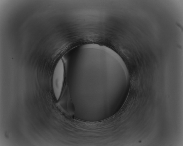 X0000092320027200710051305