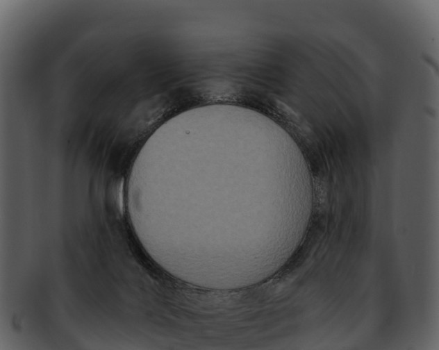 X0000092320028200710051305