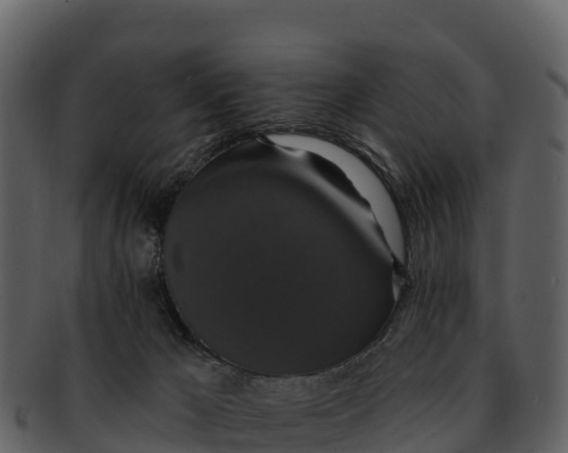 X0000092320029200710051305