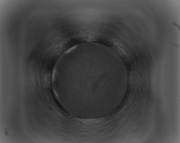 X0000092320030200710051305