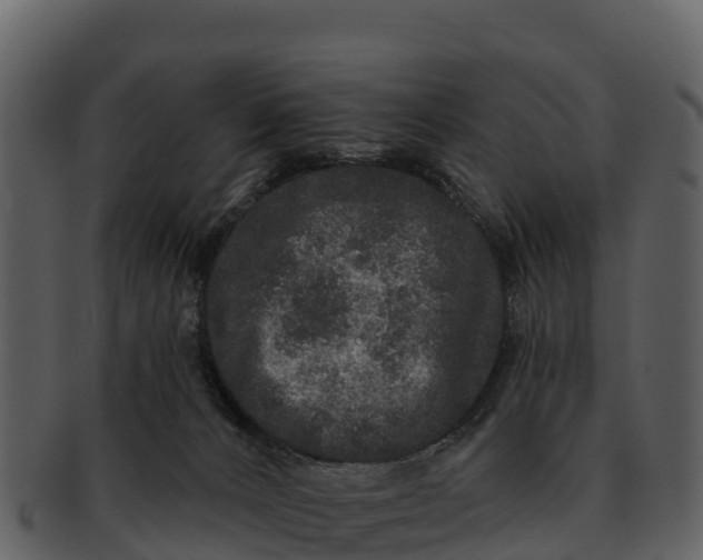 X0000092320032200710051305
