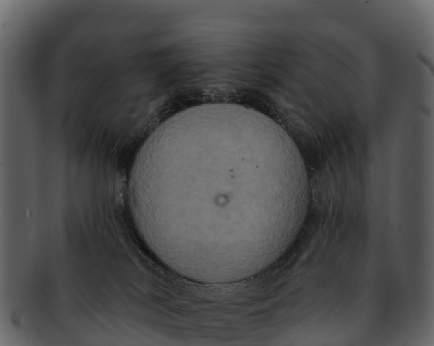 X0000092320038200710051304