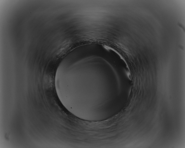 X0000092320039200710051304