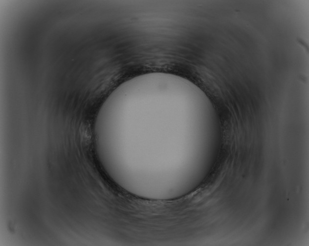 X0000092320040200710051304