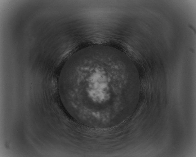 X0000092320043200710051304