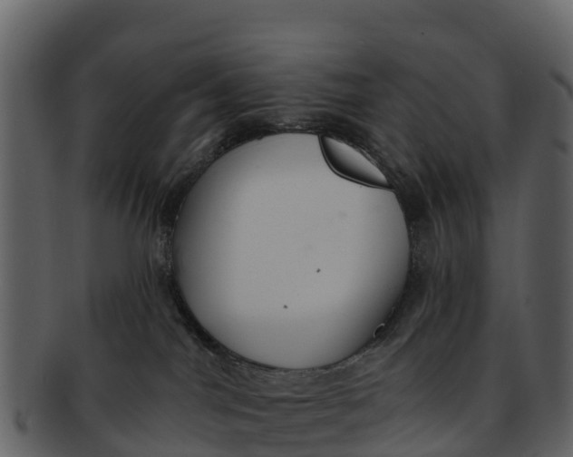 X0000092320044200710051304