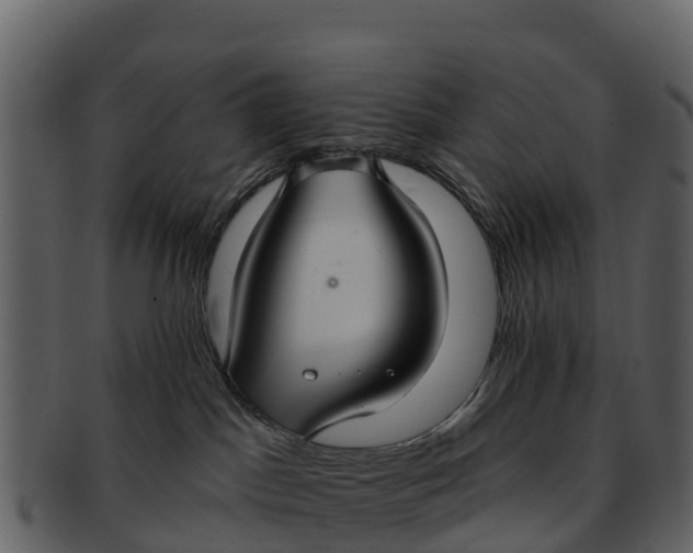 X0000092320045200710051304