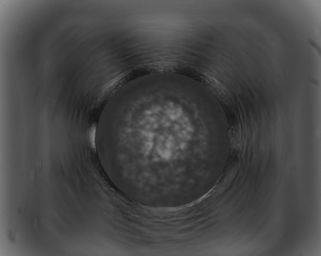 X0000092320047200710051304