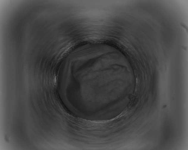 X0000092320048200710051304