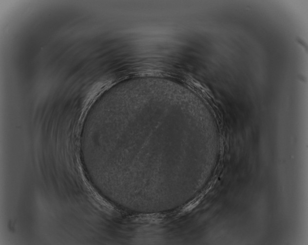 X0000092320049200710051304