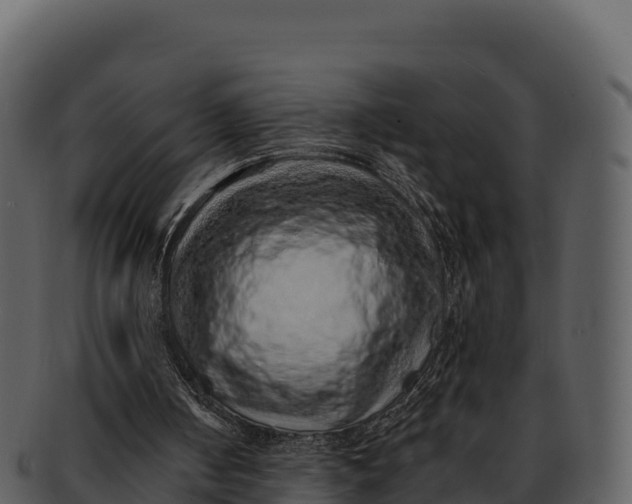 X0000092320050200710051304