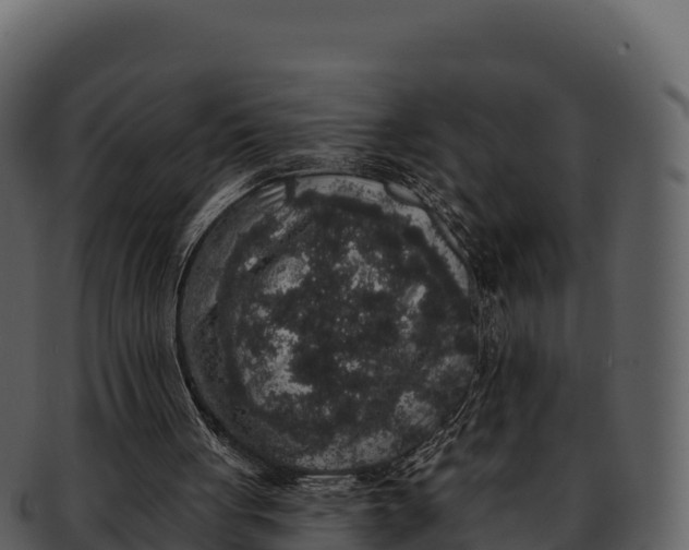 X0000092320051200710051304