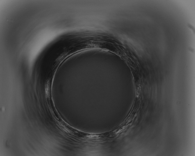 X0000092320052200710051304