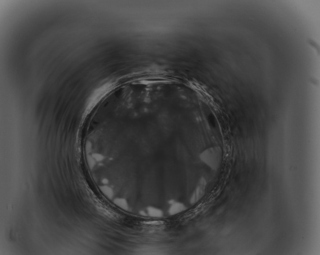 X0000092320053200710051304