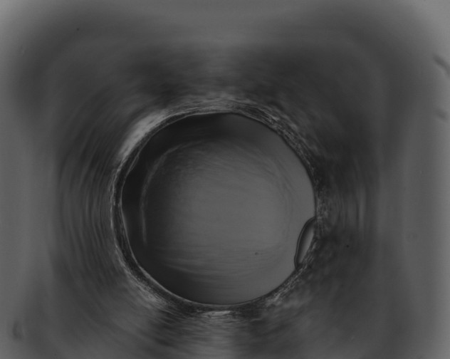 X0000092320054200710051304
