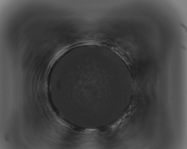 X0000092320055200710051304