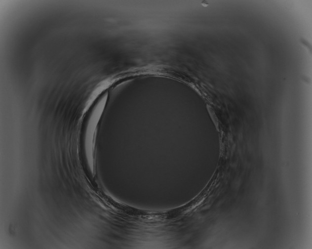 X0000092320056200710051304