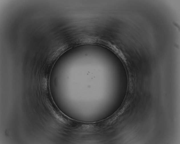 X0000092320057200710051304