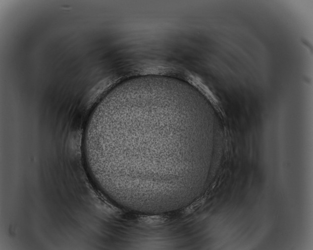 X0000092320058200710051304
