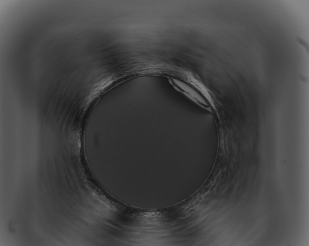 X0000092320059200710051304