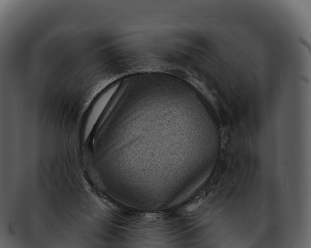 X0000092320060200710051304