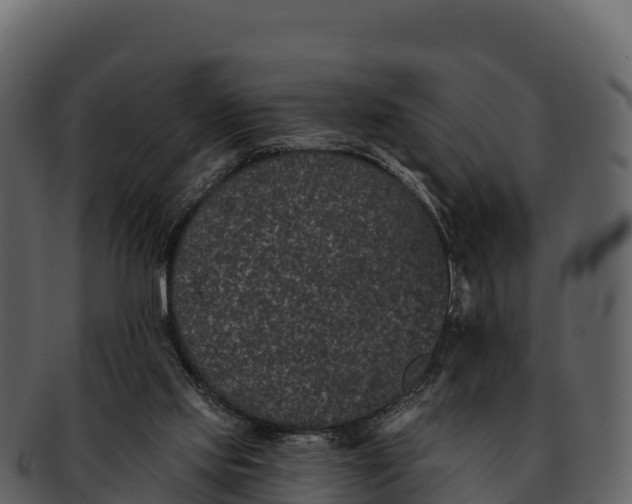 X0000092320061200710051304