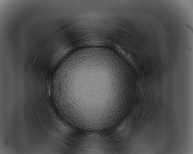X0000092320062200710051304