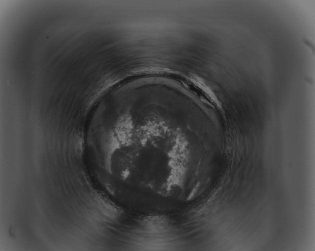 X0000092320063200710051304