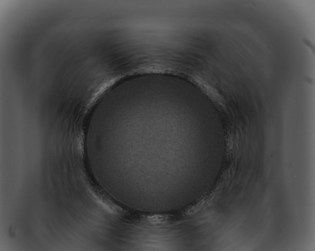 X0000092320064200710051304