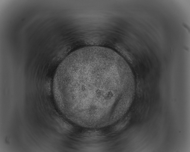 X0000092320065200710051304