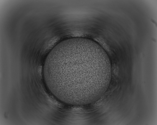 X0000092320066200710051304