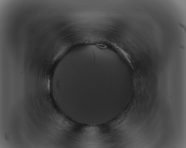 X0000092320067200710051304