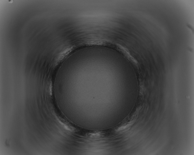 X0000092320068200710051304