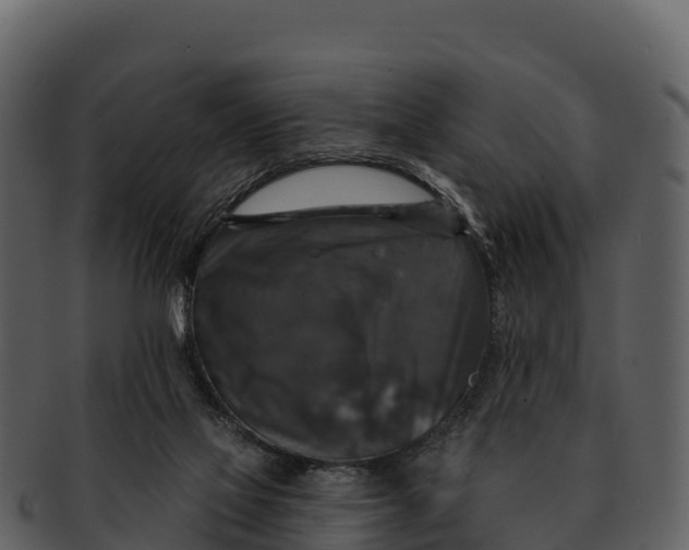 X0000092320069200710051304