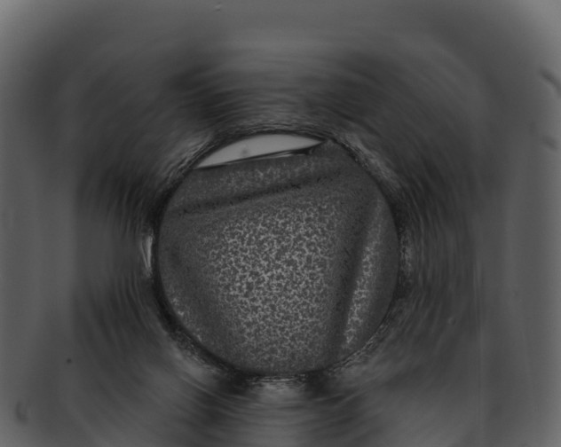 X0000092320070200710051304